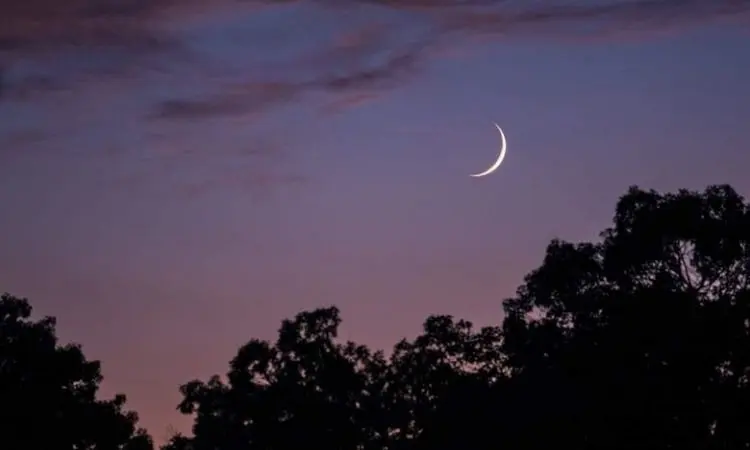 আকাশে চাঁদ ও গাছের silhouette, সন্ধ্যার সময়ের ছবি. Channel i News - চ্যানেল আই নিউজ