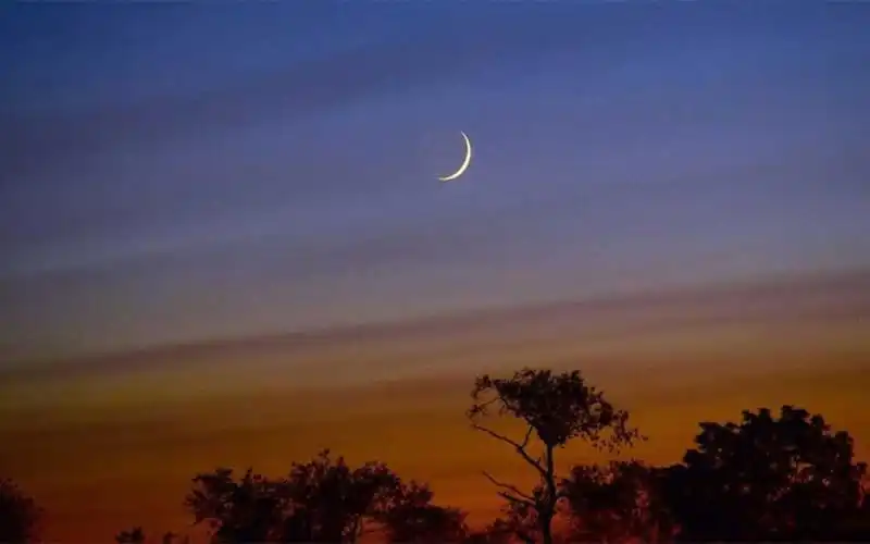 সন্ধ্যায় আকাশে চাঁদ ও গাছের silhouette, বাংলাদেশ. Channel i News - চ্যানেল আই নিউজ