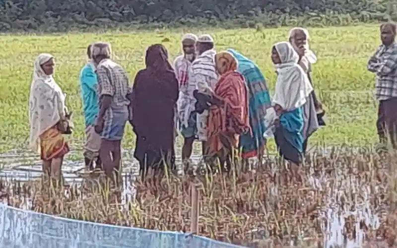 বাংলাদেশে পুশইন করছে বিএসএফ, সীমান্তে ভারতীয় নাগরিকরা. Channel i News - চ্যানেল আই নিউজ