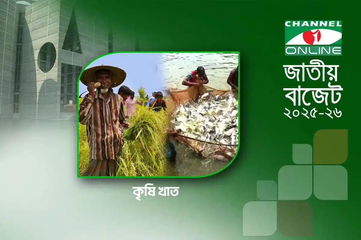কৃষি খামার ও ধান চাষের ছবি, চ্যানেল আই অনলাইন. Channel i News - চ্যানেল আই নিউজ