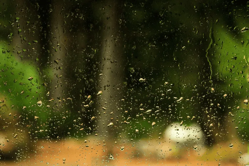Rainy window with raindrops and blurred background of trees and sky. Channel i News - চ্যানেল আই নিউজ
