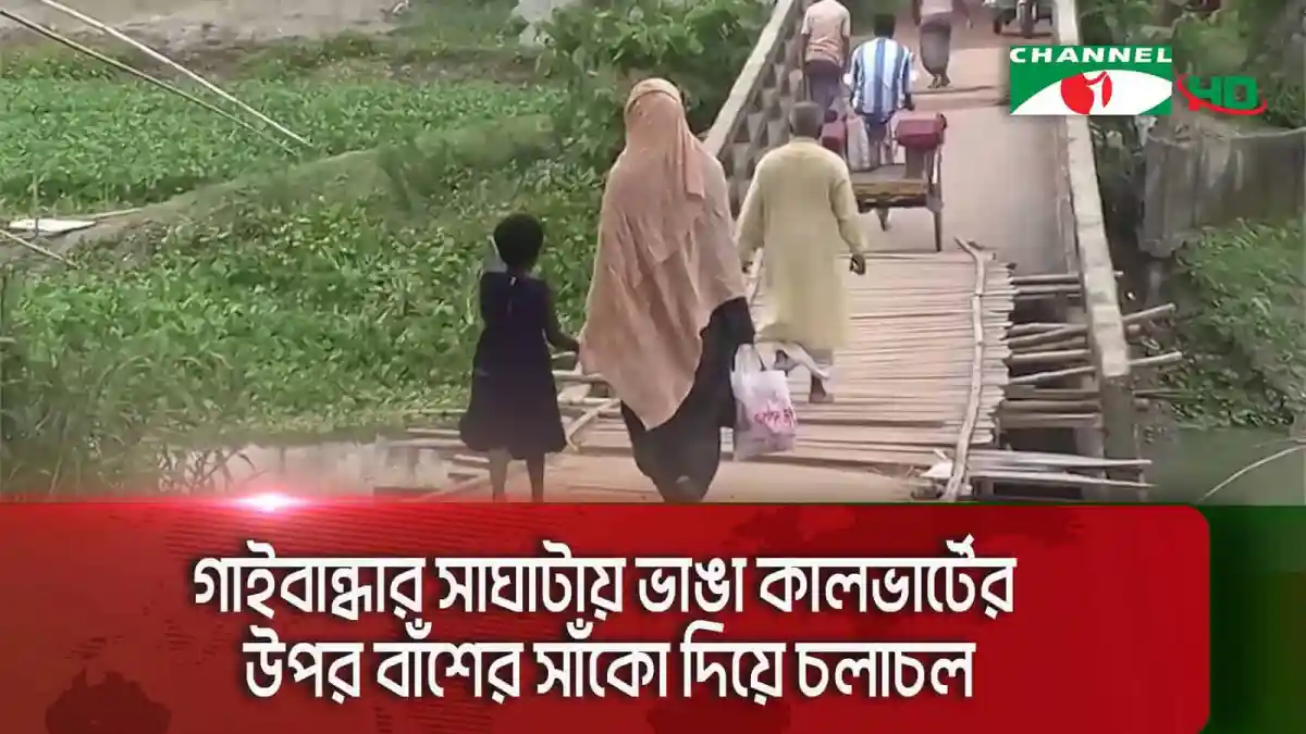 গাইবান্ধায় ভাঙা কালভার্টের উপর বাঁশের সাঁকো দিয়ে চলাচল. Channel i News - চ্যানেল আই নিউজ