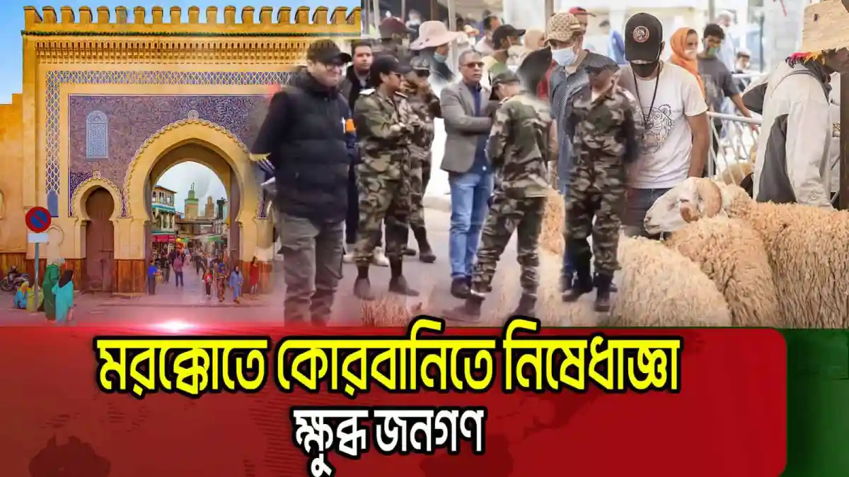 মরক্কোতে ঈদ উল আজহায় কোরবানির জন্য পশু কেনাকাটা ও প্রস্তুতি. Channel i News - চ্যানেল আই নিউজ