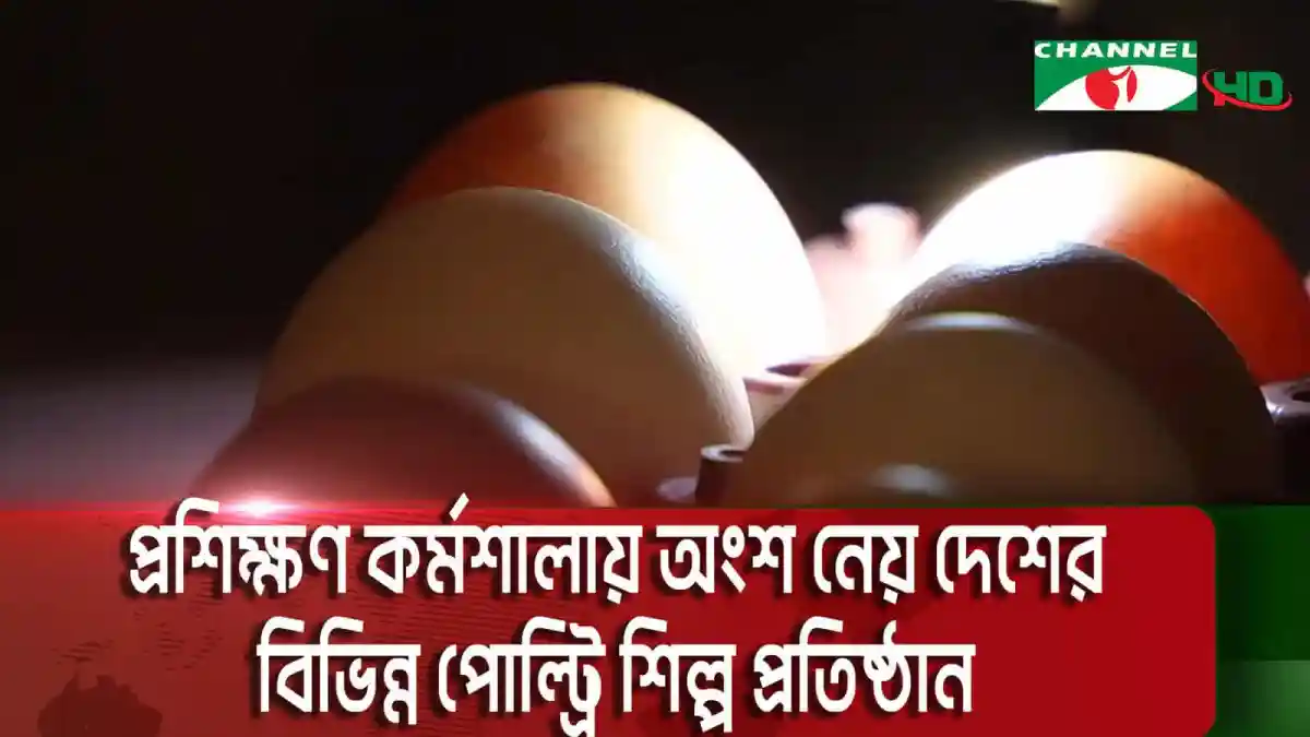 পোল্ট্রি শিল্পের ভ্যালু চেইন উন্নয়নে প্রশিক্ষণ কর্মশালা অনুষ্ঠিত. Channel i News - চ্যানেল আই নিউজ