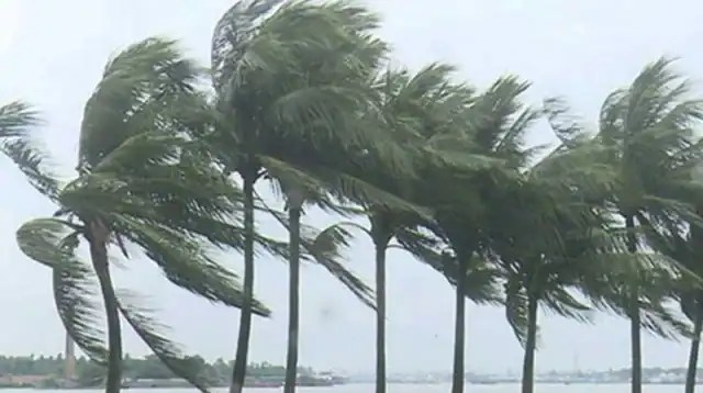 বাতাসে দুলছে পাতা সহ ঝড়ো বাতাসে ঝড়ো বাতাসে ঝড়ো বাতাসে ঝড়ো বাতাসে ঝড়ো বাতাসে ঝড়ো বাতাসে ঝড়ো ঝো. Channel i News - চ্যানেল আই নিউজ