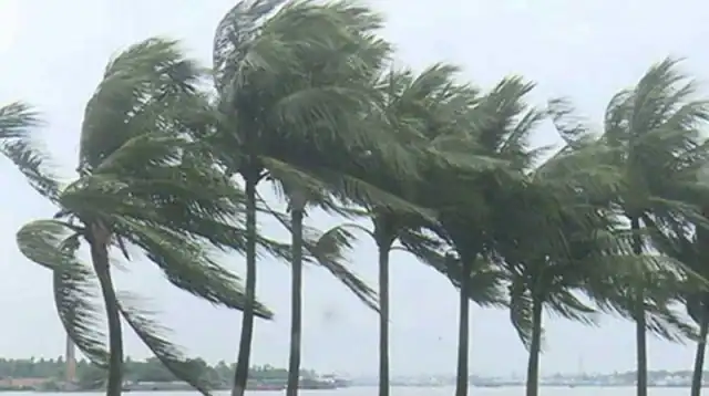 বাতাসে দুলছে গাছের পাতা ও ডালপালা, ঝড়ের পূর্বাভাস. Channel i News - চ্যানেল আই নিউজ