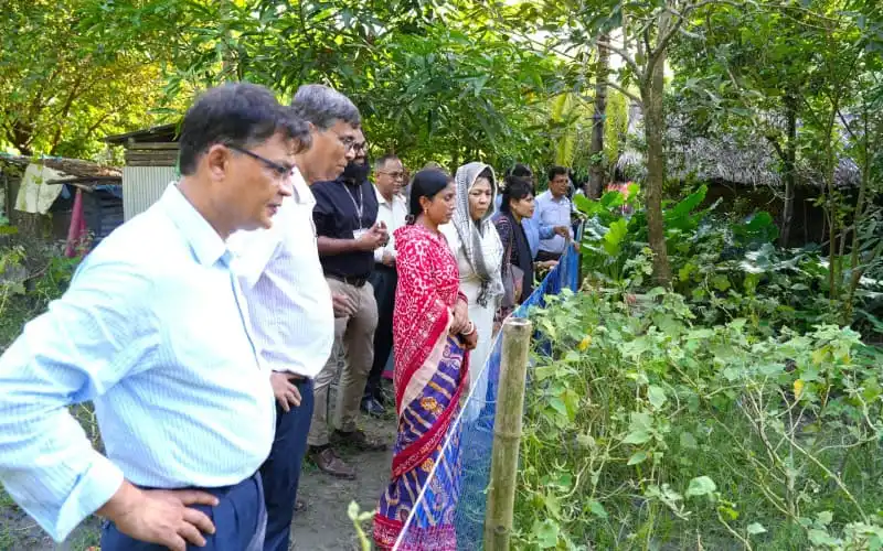 জনপ্রিয় ব্যক্তিরা কৃষি প্রকল্পের গাছের পাশে দাঁড়িয়ে পর্যবেক্ষণ করছেন. Channel i News - চ্যানেল আই নিউজ