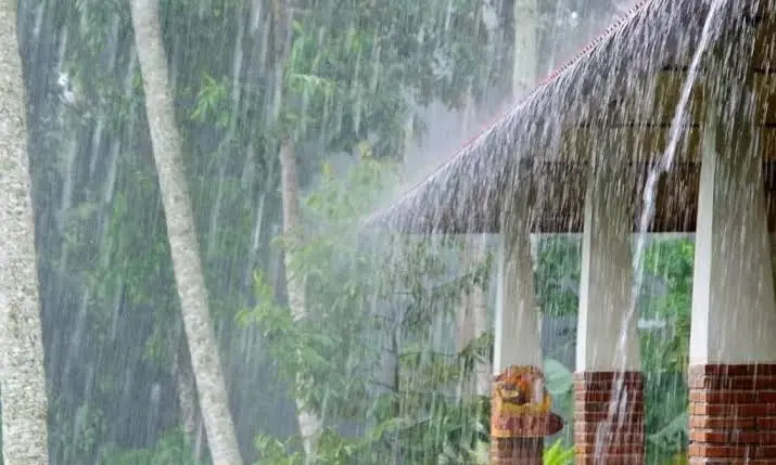 বৃষ্টির কারণে ঝরছে জল, বন ও ঘরবাড়ির পাশে. Channel i News - চ্যানেল আই নিউজ