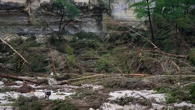 প্রাকৃতিক দুর্যোগে ক্ষতিগ্রস্ত পাহাড়ি এলাকা, ধ্বংসস্তূপ ও ক্ষতিগ্রস্ত গাছপালা. Channel i News - চ্যানেল আই নিউজ