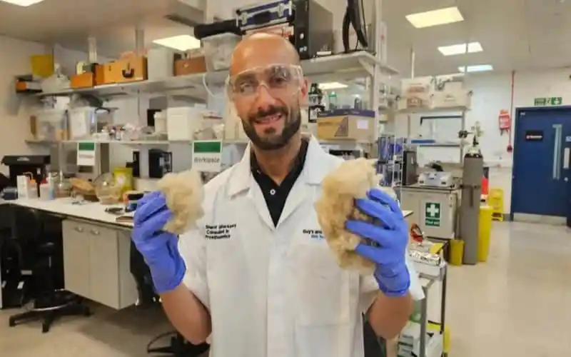 Scientist holding cotton samples in laboratory with scientific equipment. Channel i News - চ্যানেল আই নিউজ