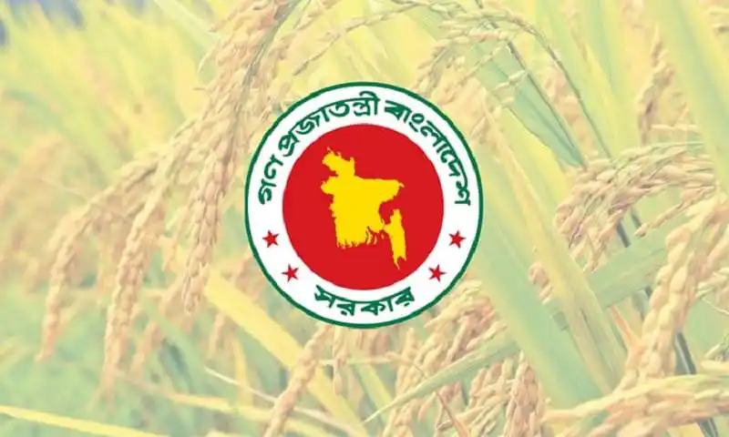 সরকারের ধান ও চাল সংগ্রহের জন্য কৃষি জমি ও ধান ক্ষেতের ছবি. Channel i News - চ্যানেল আই নিউজ