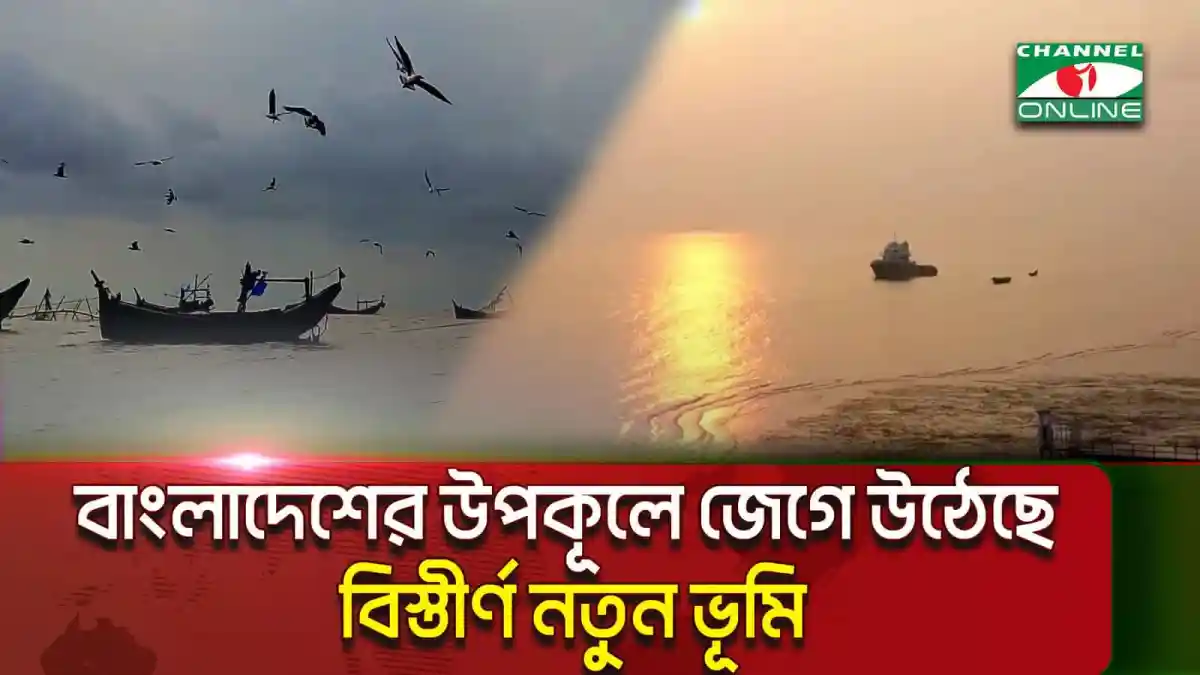 বাংলাদেশের তিন দ্বীপের সুন্দর সমুদ্র দৃশ্য, নৌকা ও পাখির ছবি. Channel i News - চ্যানেল আই নিউজ