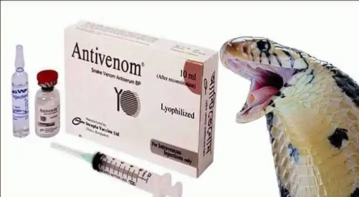 Antivenom vials and syringe with a snake for snakebite treatment. Channel i News - চ্যানেল আই নিউজ