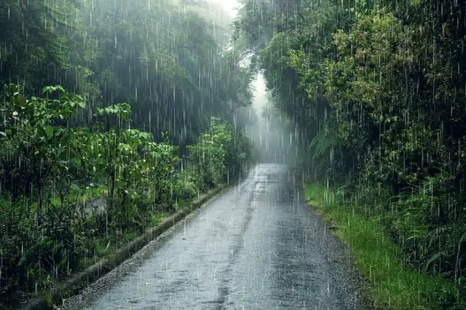 বৃষ্টির কারণে জলমগ্ন রাস্তা ও সবুজ গাছপালা, ভারী বর্ষণ চলছে. Channel i News - চ্যানেল আই নিউজ