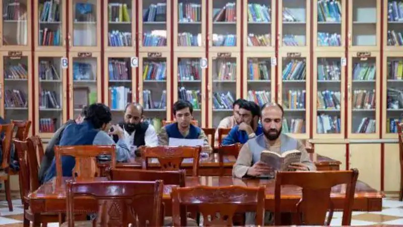 শিক্ষার্থীরা লাইব্রেরিতে বই পড়ছেন, শান্ত পরিবেশে. Channel i News - চ্যানেল আই নিউজ