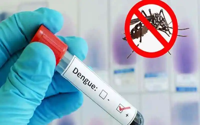 ডেঙ্গু মশা নিয়ন্ত্রণে পরীক্ষামূলক রক্তের নমুনা ও ল্যাবের ছবি. Channel i News - চ্যানেল আই নিউজ