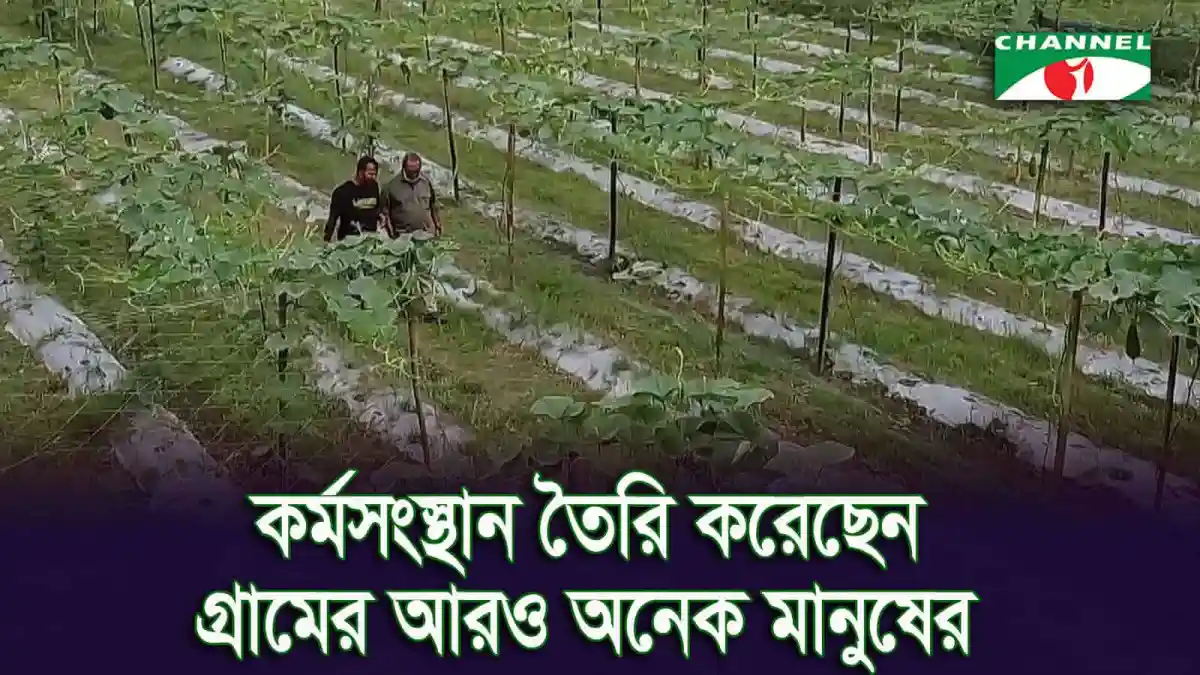 গ্রামে বসে কৃষি কাজ করছেন তরুণ উদ্যোক্তা শহীদুল. Channel i News - চ্যানেল আই নিউজ