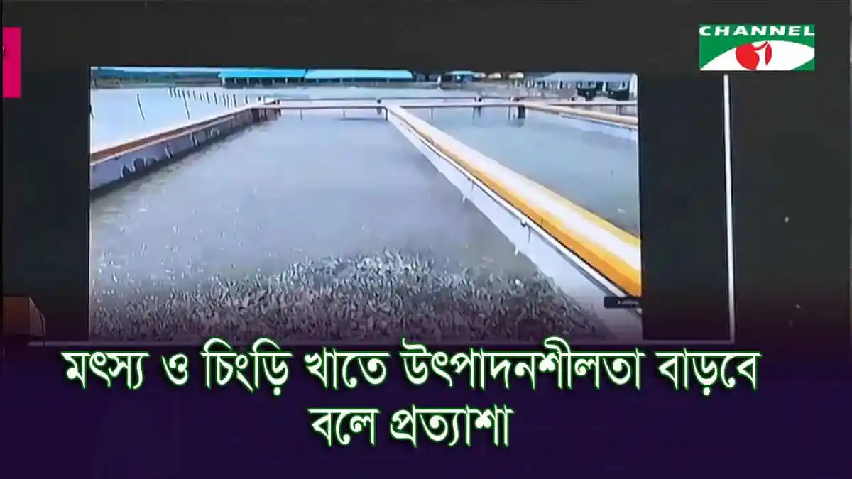 কক্সবাজারে সেন্টার অব এক্সেলেন্স উদ্বোধনের দৃশ্য. Channel i News - চ্যানেল আই নিউজ