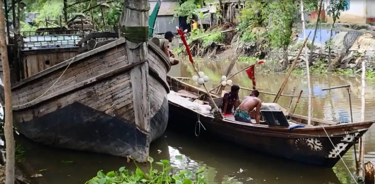 মৎস্যজীবীরা পদ্মা-মেঘনায় মাছ ধরা বন্ধের কারণে ক্ষতিগ্রস্ত. Channel i News - চ্যানেল আই নিউজ