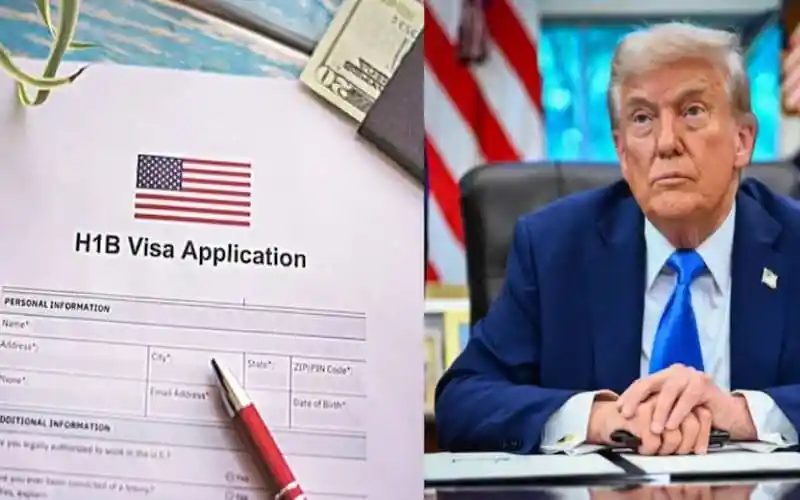 H1B ভিসার জন্য আবেদনপত্র ও ট্রাম্পের ছবি. Channel i News - চ্যানেল আই নিউজ