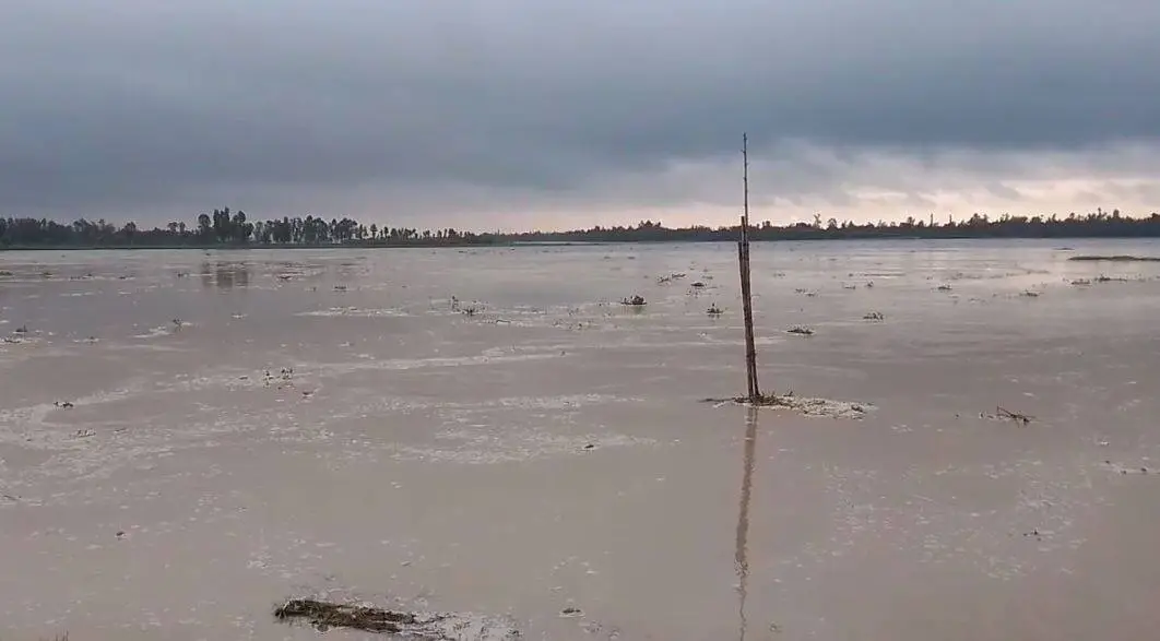 কুড়িগ্রামে পানি বেড়ে নিম্নাঞ্চল প্লাবিত, ফসল নিমজ্জিত. Channel i News - চ্যানেল আই নিউজ