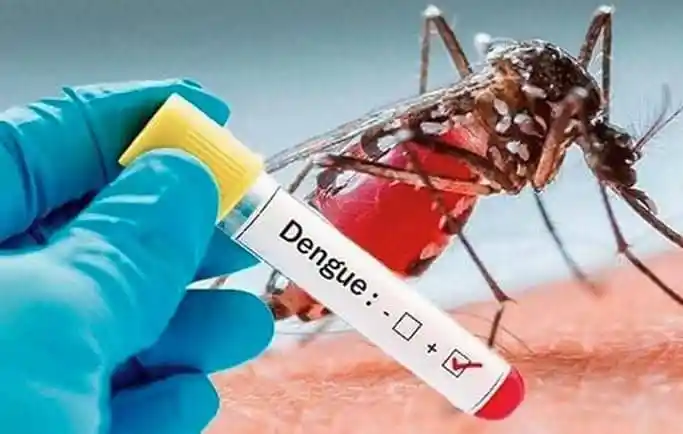 ডেঙ্গু পরীক্ষার জন্য মশার কামড়ের ছবি, যেখানে মশা ও রক্তের নমুনা দেখানো হয়েছে. Channel i News - চ্যানেল আই নিউজ