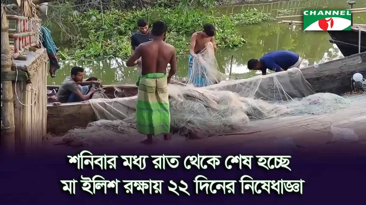 নৌকায় ইলিশ মাছ ধরা হচ্ছে চাঁদপুরের পদ্মা মেঘনায়. Channel i News - চ্যানেল আই নিউজ