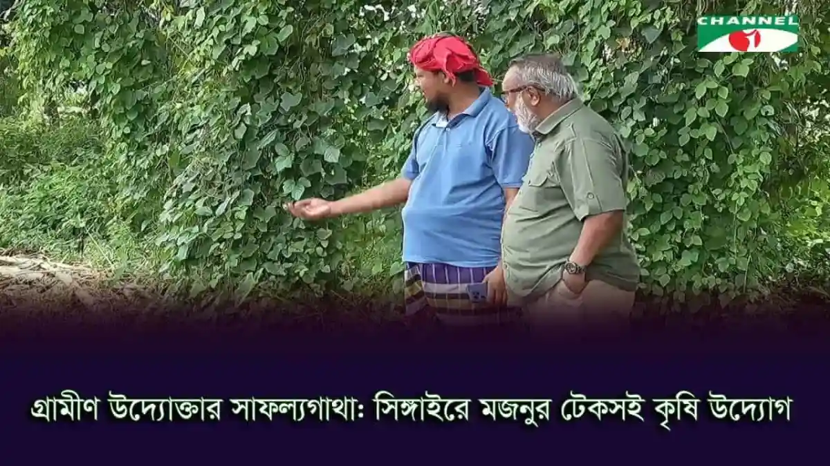 শিল্পীদের সঙ্গে কৃষক মানিকগঞ্জে শাক-সবজি পরিদর্শন. Channel i News - চ্যানেল আই নিউজ