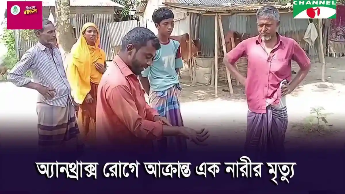 গাইবান্ধার সুন্দরগঞ্জে অ্যানথ্রাক্স রোগে আক্রান্তের রোগীদের দেখছেন চিকিৎসক. Channel i News - চ্যানেল আই নিউজ