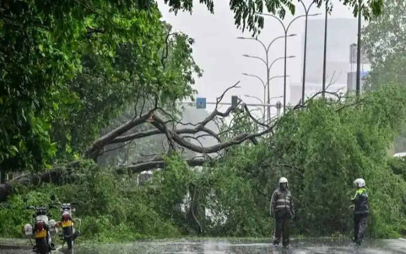 শ্রীলঙ্কায় ঘূর্ণিঝড় ডিটওয়াহ’র তাণ্ডবের কারণে গাছপালা ও সড়ক ক্ষতিগ্রস্ত. Channel i News - চ্যানেল আই নিউজ