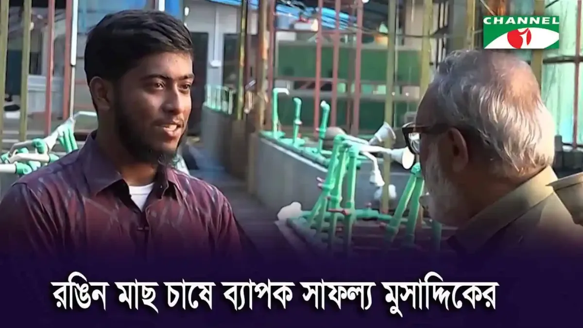 রঙিন মাছ চাষে সফল রাহাতের গল্প, ফরিদপুরের মাছ চাষের নতুন দিগন্ত. Channel i News - চ্যানেল আই নিউজ