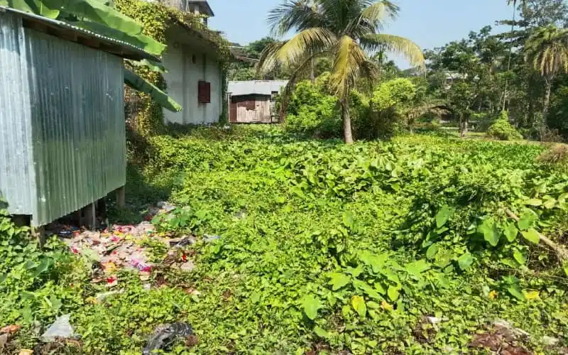 লক্ষ্মীপুরের রামগতি বাজারের পাশে খাল ও দখলদারিত্বের ছবি. Channel i News - চ্যানেল আই নিউজ