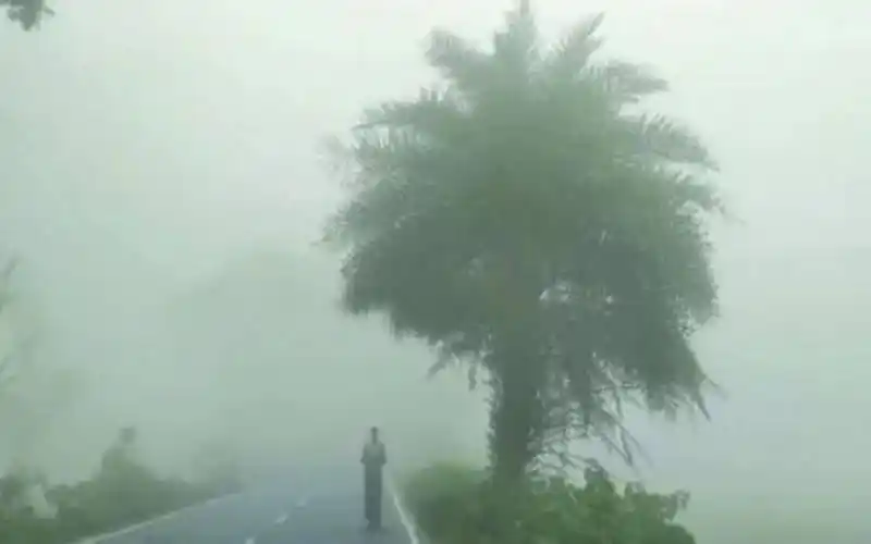 ধোঁয়াশা ও কুয়াশার মধ্যে একাকী পথচারী ও গাছের ছবি. Channel i News - চ্যানেল আই নিউজ