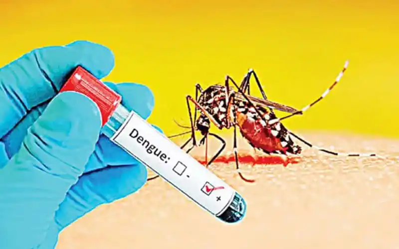 ডেঙ্গু পরীক্ষা করা হচ্ছে, মশার লার্ভা ও রক্তের নমুনা. Channel i News - চ্যানেল আই নিউজ