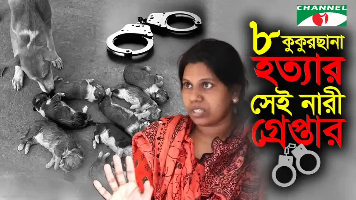 পাবনায় কুকুরছানা হত্যায় গ্রেপ্তার সরকারি কর্মকর্তার স্ত্রী. Channel i News - চ্যানেল আই নিউজ