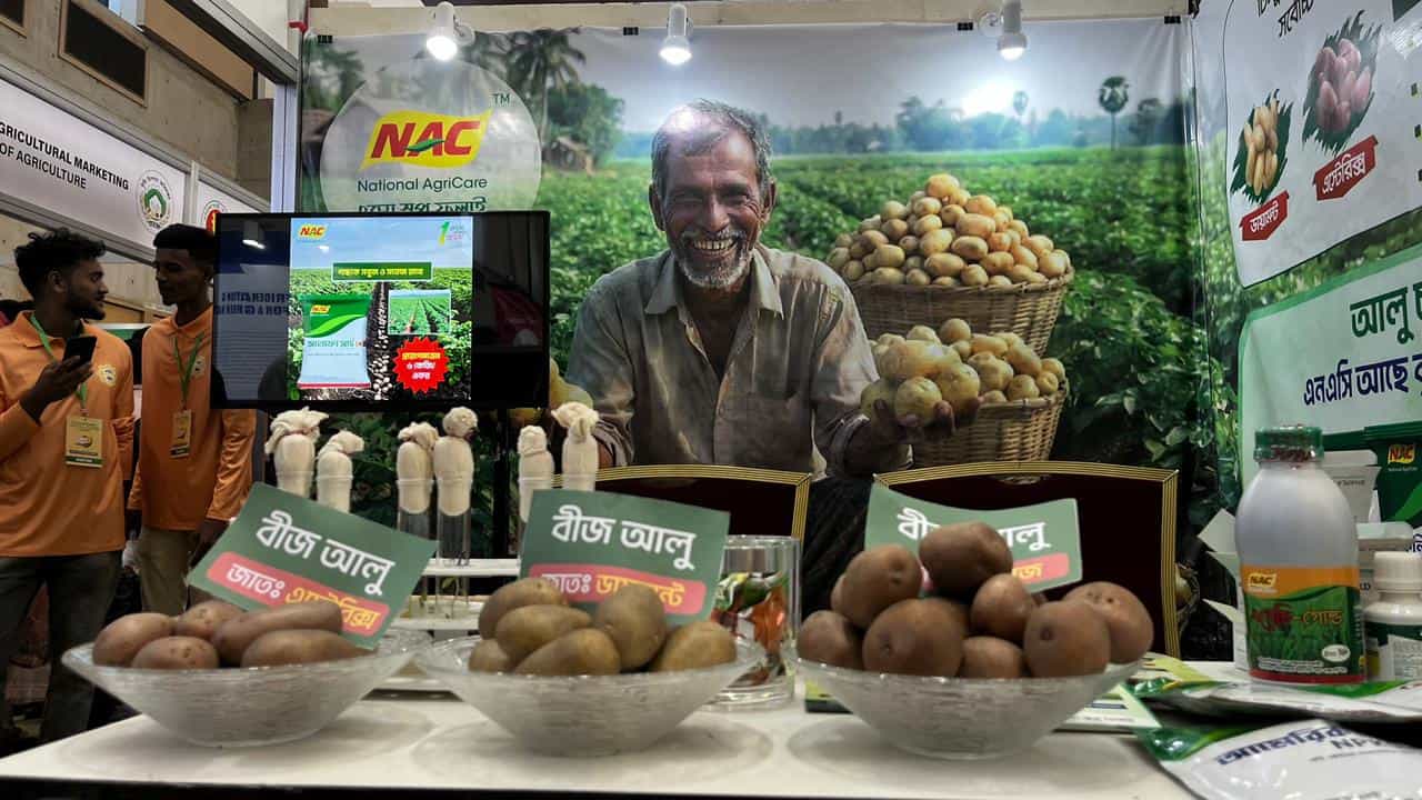 প্রথমবারের মতো আলু উৎসবের ছবি, কৃষকের হাসিমুখ ও আলুর প্রদর্শনী।. Channel i News - চ্যানেল আই নিউজ