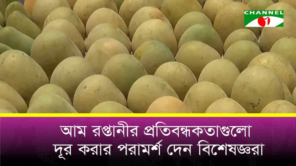 আমের রপ্তানিতে সীমাবদ্ধতা নিয়ে গবেষণা প্রকাশ. Channel i News - চ্যানেল আই নিউজ