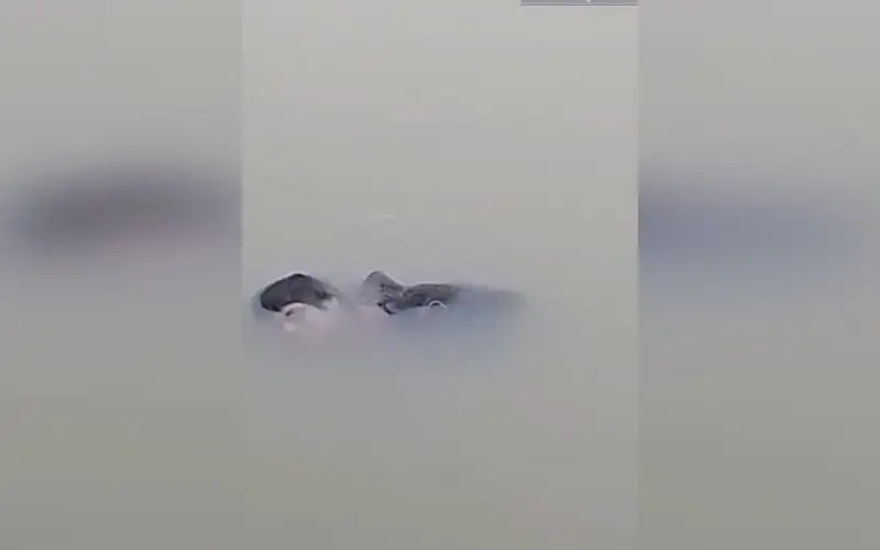 অজ্ঞাত নারীর মরদেহ উদ্ধার, পানিতে ডুবে থাকতে পারে. Channel i News - চ্যানেল আই নিউজ