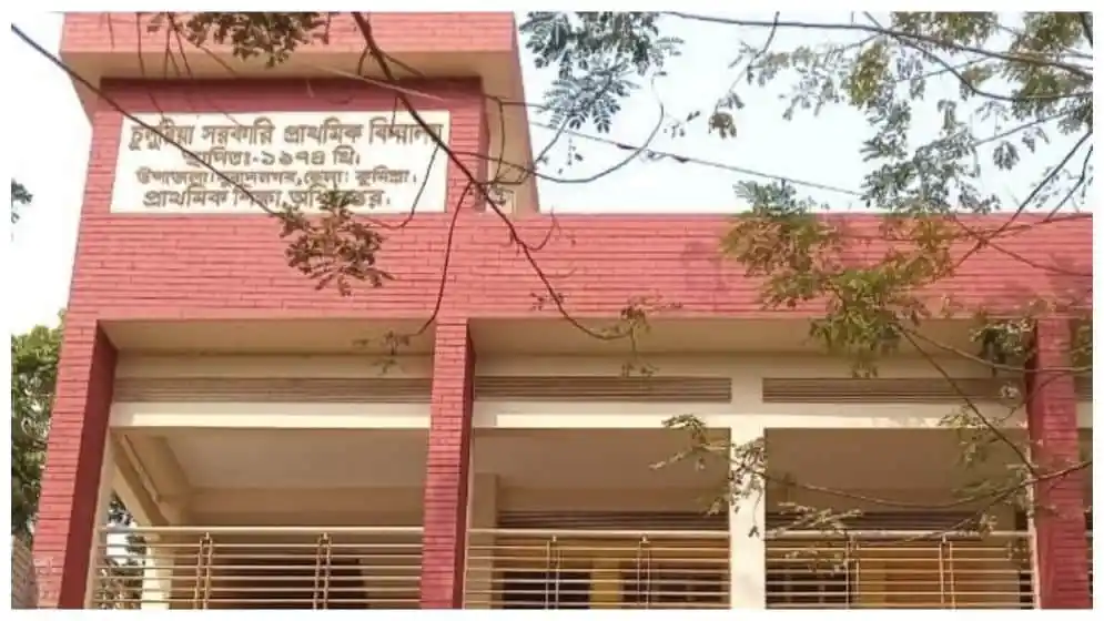 সরকারি প্রাথমিক বিদ্যালয়ের ভবনের সামনে গাছের শাখা ও ছায়া. Channel i News - চ্যানেল আই নিউজ