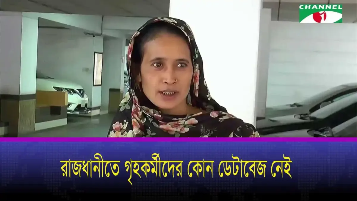 রাজধানীতে গৃহকর্মীদের জন্য কোন ডেটাবেজ নেই, অপরাধের প্রবণতা বাড়ছে. Channel i News - চ্যানেল আই নিউজ