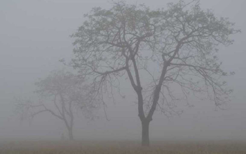 আরও ৫ দিন থাকবে কুয়াশার দাপট, তাপমাত্রা কমার আভাস