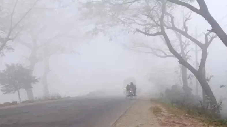 চুয়াডাঙ্গায় মৃদু শৈত্যপ্রবাহ অব্যাহত