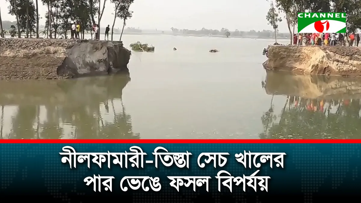 তিস্তা সেচ প্রকল্পের খাল ধসে তলিয়ে গেল ফসলি জমি, অনিশ্চিত বোরো আবাদ