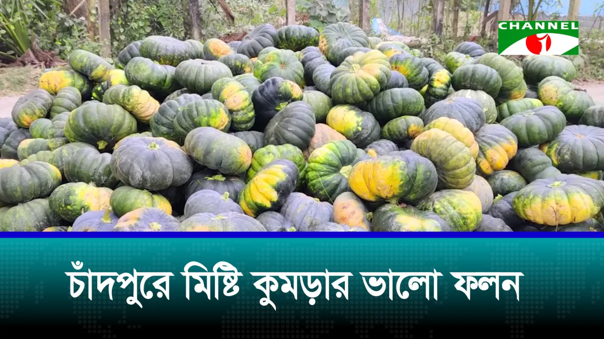 ন্যায্যমূল্য পাচ্ছেন না কৃষক