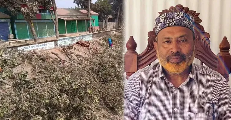 গাছ কাটার নগদ ফল: বিএনপি থেকে বহিষ্কার, গ্রেপ্তার