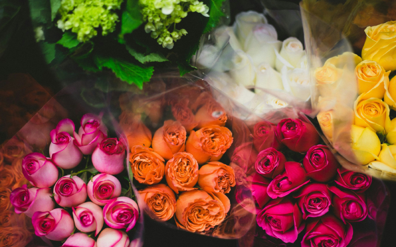 শুরু হয়েছে ভ্যালেন্টাইন ইউক, আজ রোজ ডে