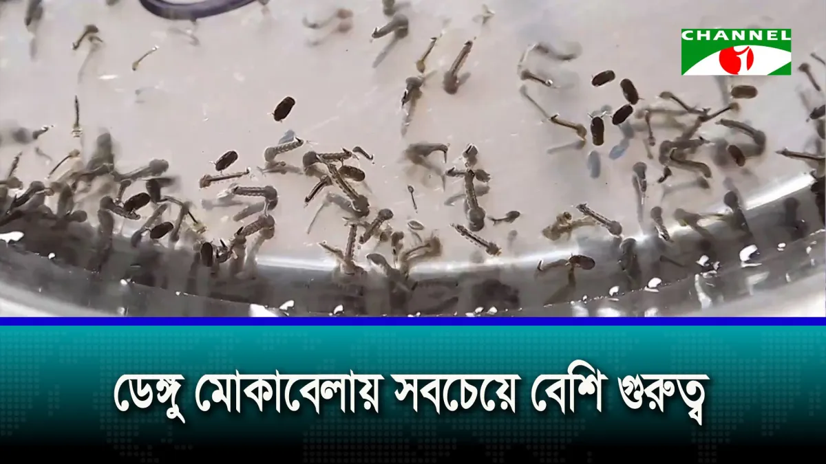 Government working to provide quick relief to city dwellers from mosquito bites: Health Minister