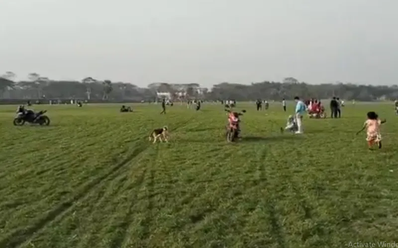 চাঁদপুরে মিনি সুইজারল্যান্ড