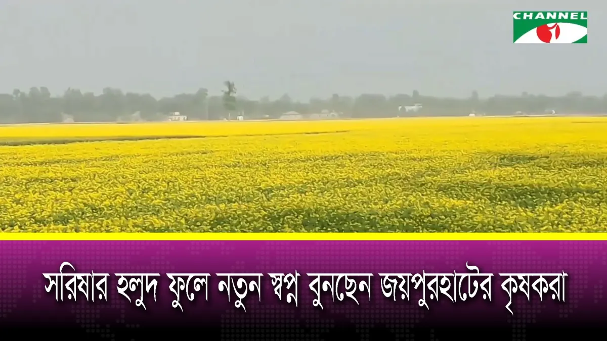 সরিষার হলুদ ফুলে নতুন স্বপ্ন বুনছেন জয়পুরহাটের কৃষকরা