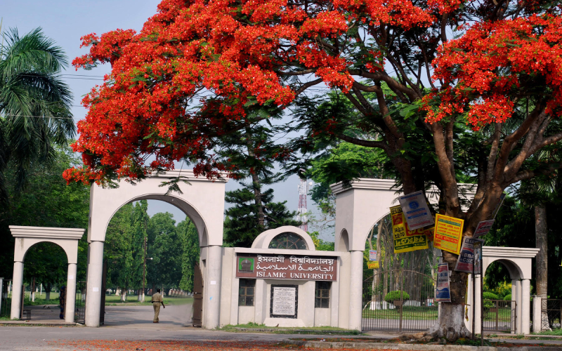 ইবি শিক্ষিকা হত্যার ঘটনায় ৫ সদস্যের তদন্ত কমিটি গঠন